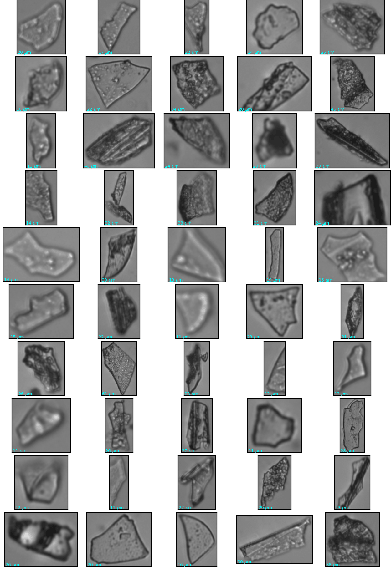 fig_train_camp_lr